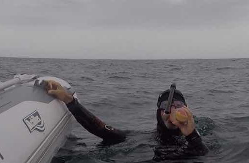 the swim ben lecomte