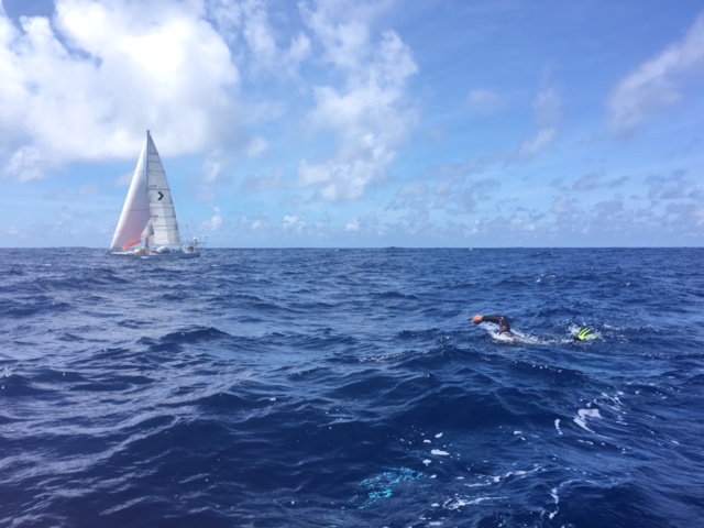 Ben lecomte the swim