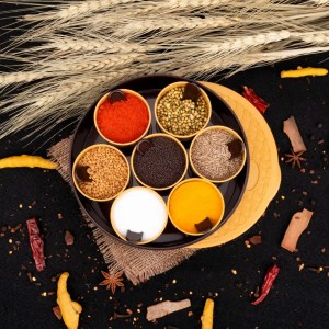 Bentoshi Round Plastic Masala Spice Box