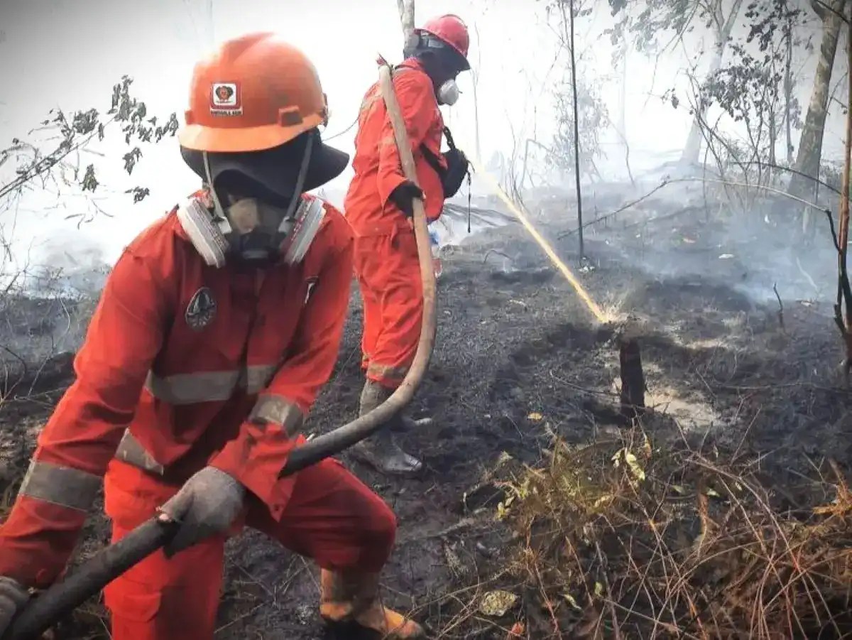 Hotspot Jatuh 92,6 Persen, Kebakaran di Kalimantan Tetap Perlu Diwaspadai!