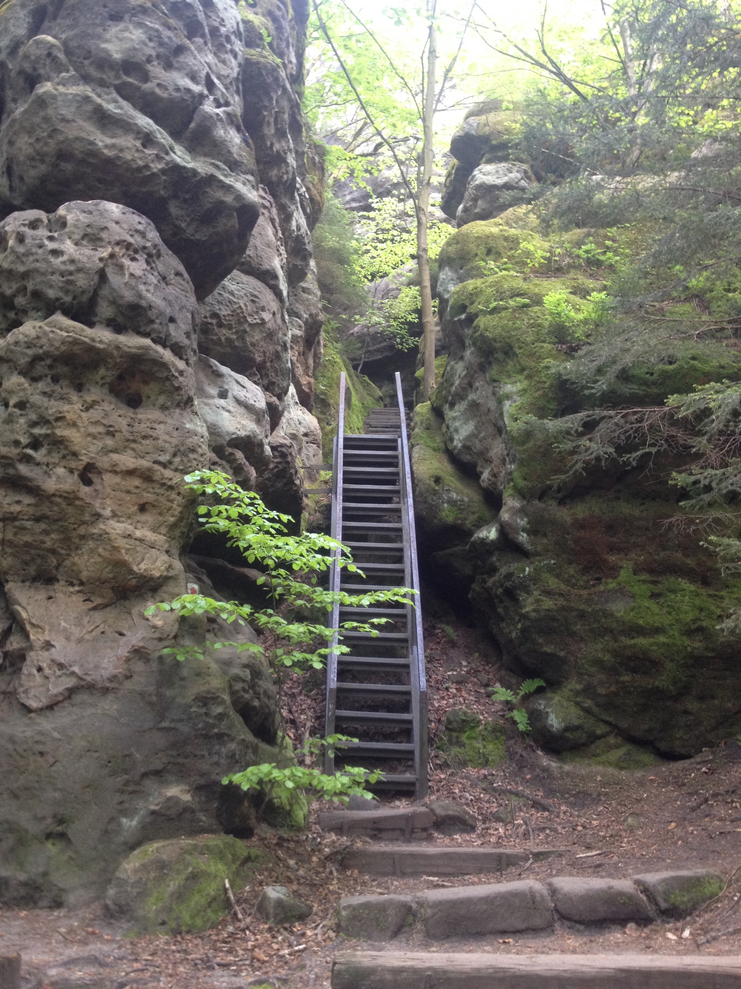 Malerweg 2017 Sächsische Schweiz