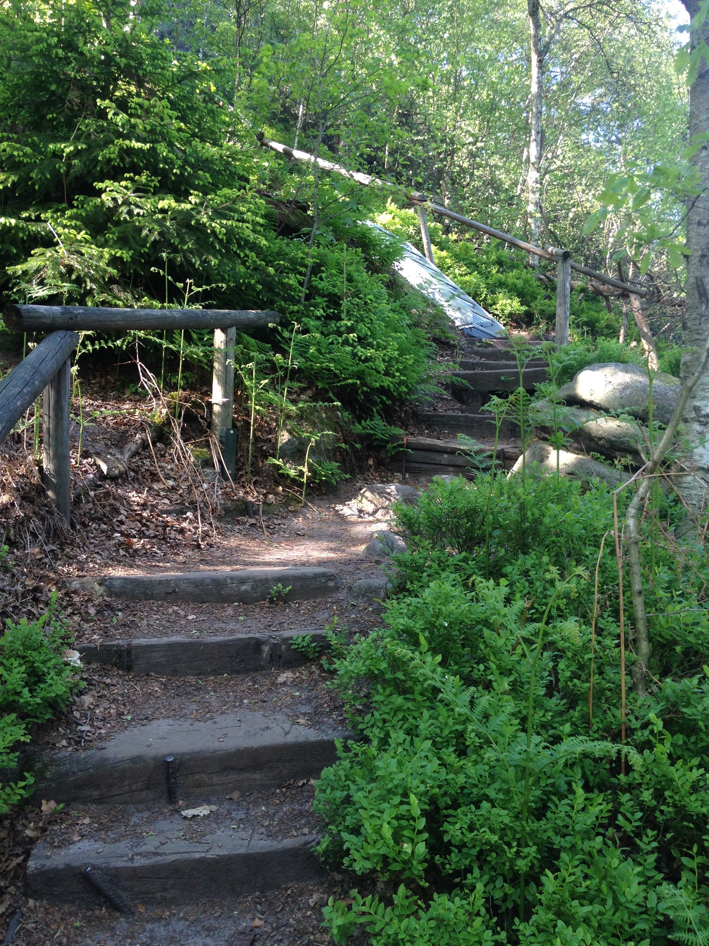 Malerweg 2017 Sächsische Schweiz