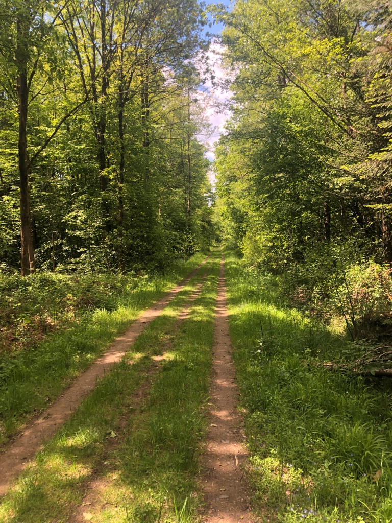 UNADJUSTEDNONRAW_thumb_4becc