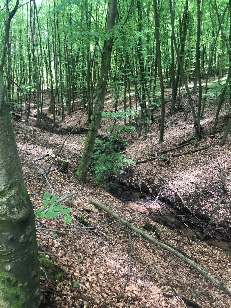 UNADJUSTEDNONRAW_thumb_4befa