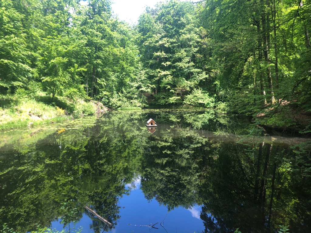 UNADJUSTEDNONRAW_thumb_4befb