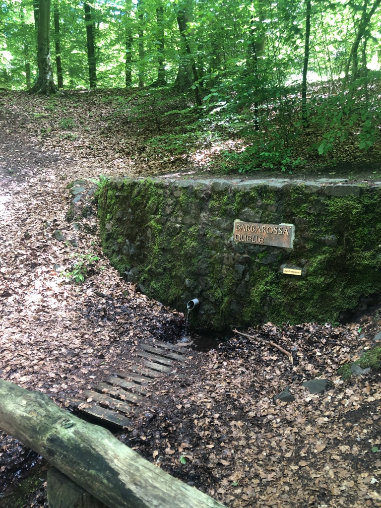 UNADJUSTEDNONRAW_thumb_4befd