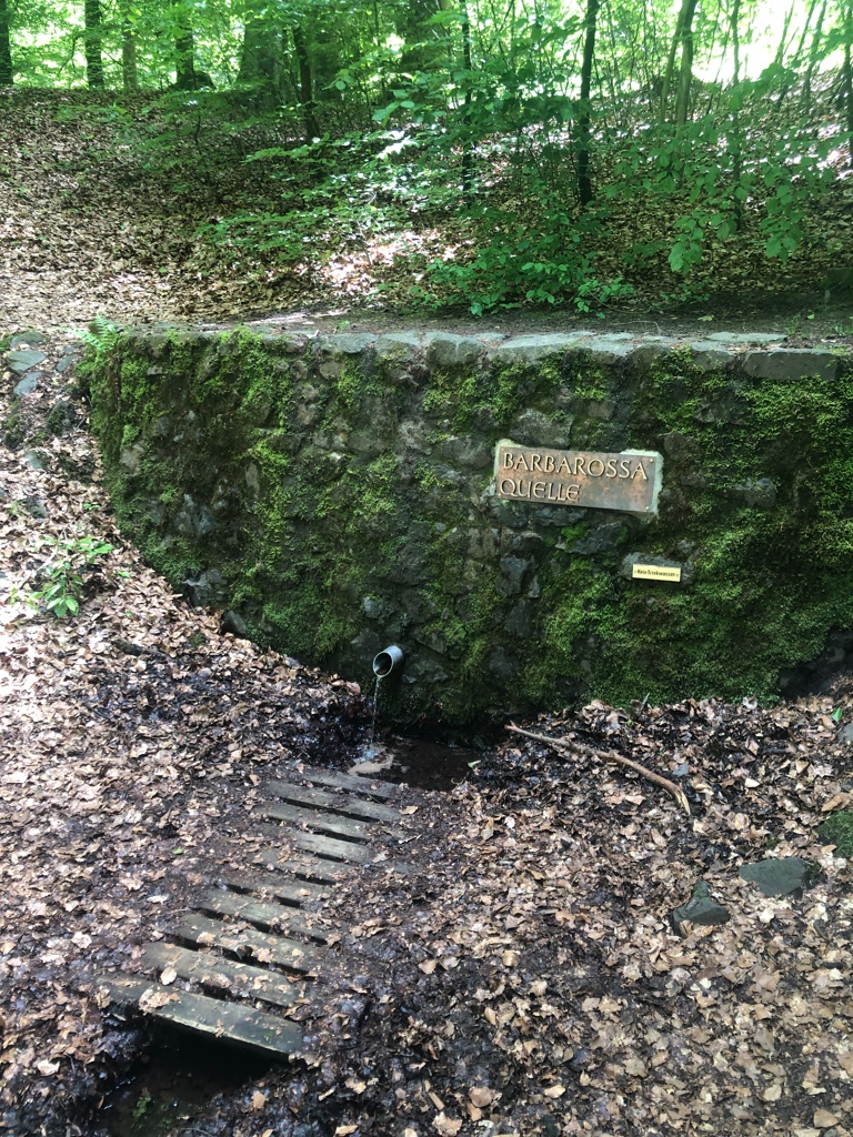 UNADJUSTEDNONRAW_thumb_4befe