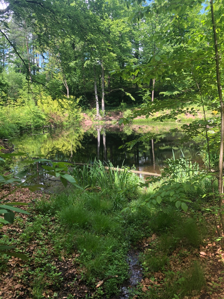 UNADJUSTEDNONRAW_thumb_4beff