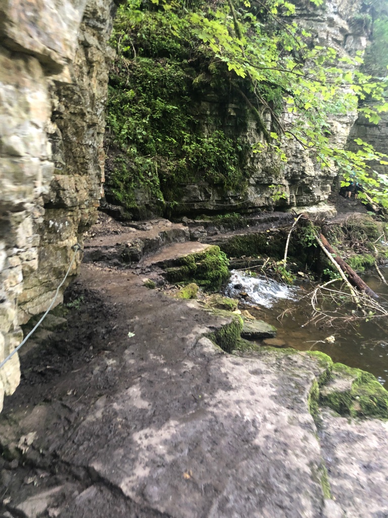 UNADJUSTEDNONRAW_thumb_4cbcd