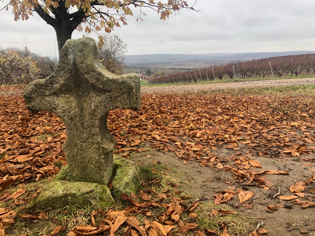 UNADJUSTEDNONRAW_thumb_50d4e