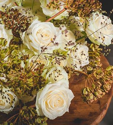 Avalanche Rose Weiß . Van Den Berg Roses Avalanche Rosen Aus Den Niederlanden