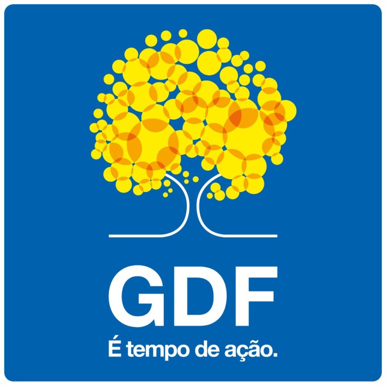 "É Tempo de Ação" GDF - bernadetealves.com