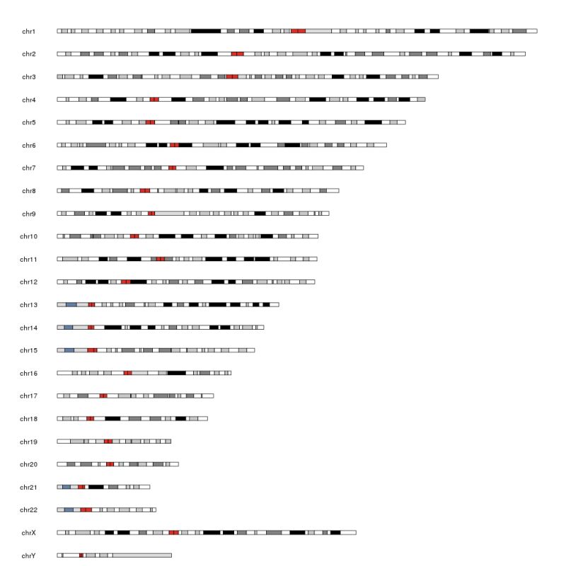 Plot A Chromosome Ideogram With Or Without Cytobands Plotideogram - Perfect Minimal Wallpaper - Desktop