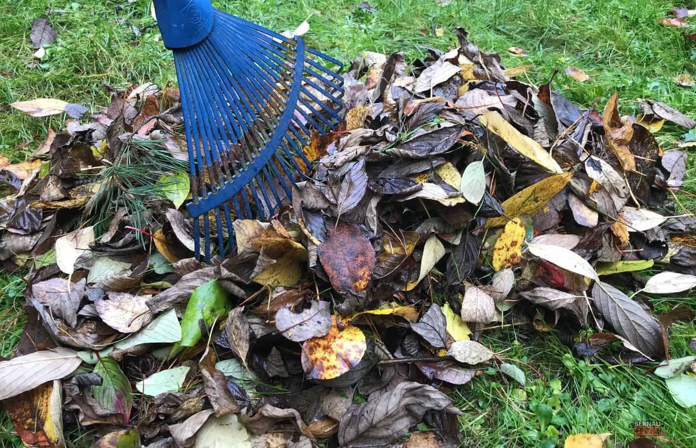 Gut Fur Den Kompost Laub Im Garten Nicht Verbrennen
