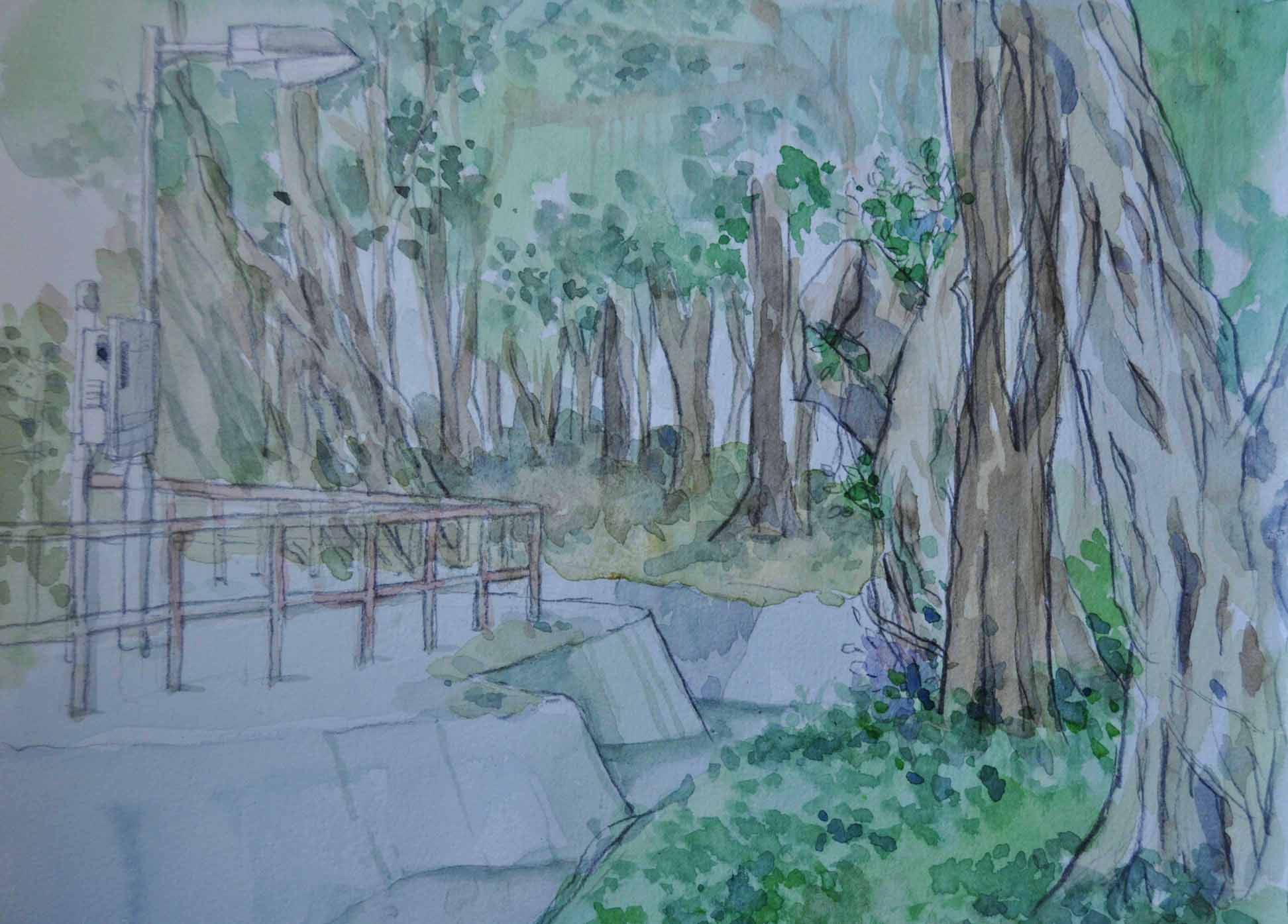 outdoor drawing | 棗田