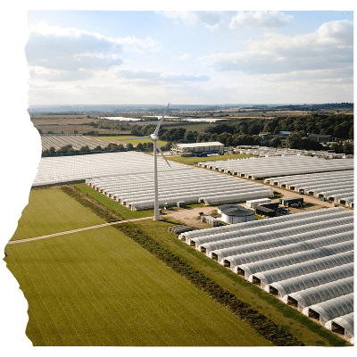 Our Story Berryworld - Amazing 4K Sunset Photos | Free Download