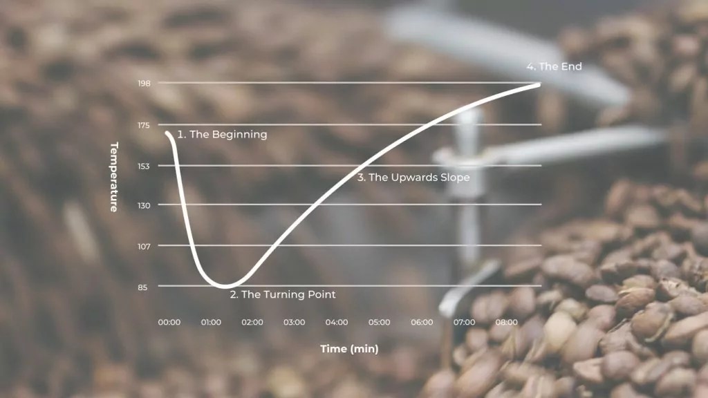 Understanding the coffee roasting curve