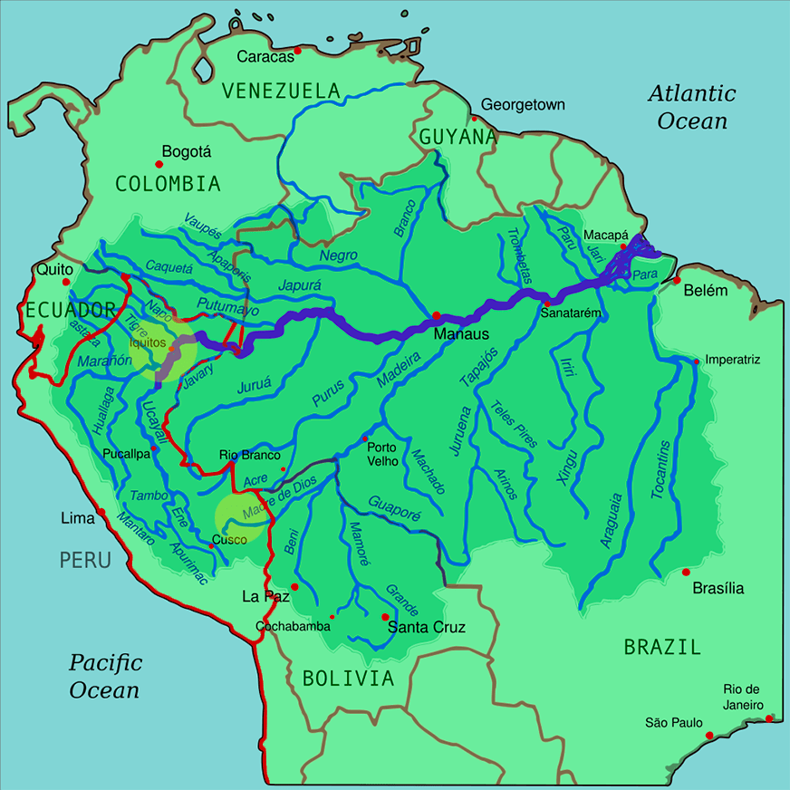 Лучшие варианты вашего отдыха по самой выгодной цене! Tury I Ekskursii Po Amazonskim Dzhunglyam V Peru
