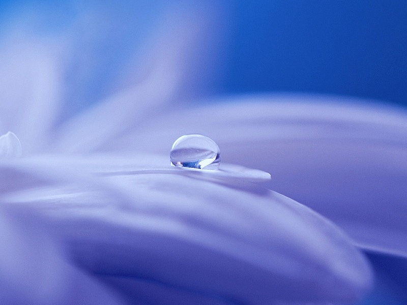 Blue By Chanel Type Fragrance Oil