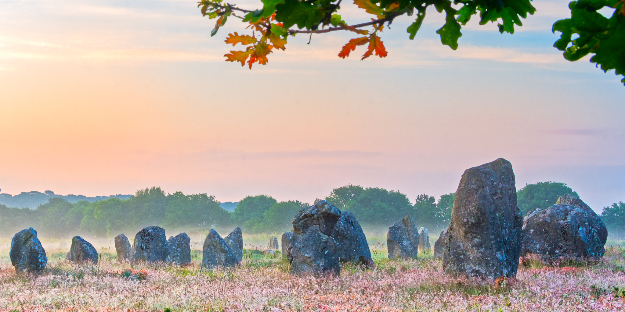 Mégalithe — Printemps — photographie des mégalithes de Carnac de Franck Besrest