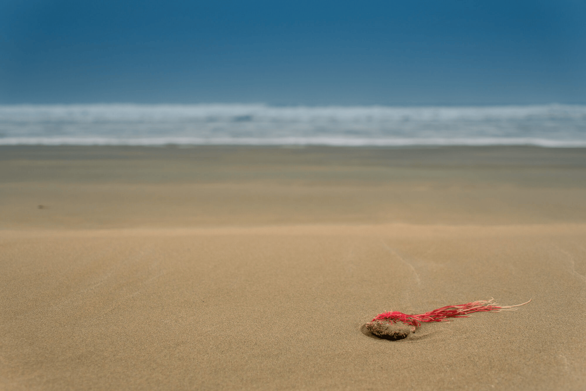 Plage d’Erdeven au style minimaliste, sable, mer et corde rouge échouée