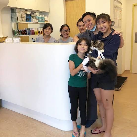 Best veterinary clinics in singapore