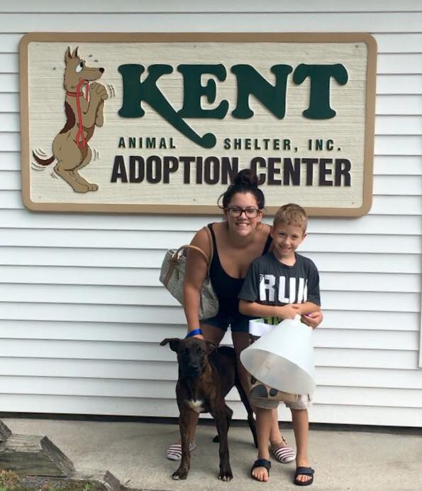 Kent animal shelter