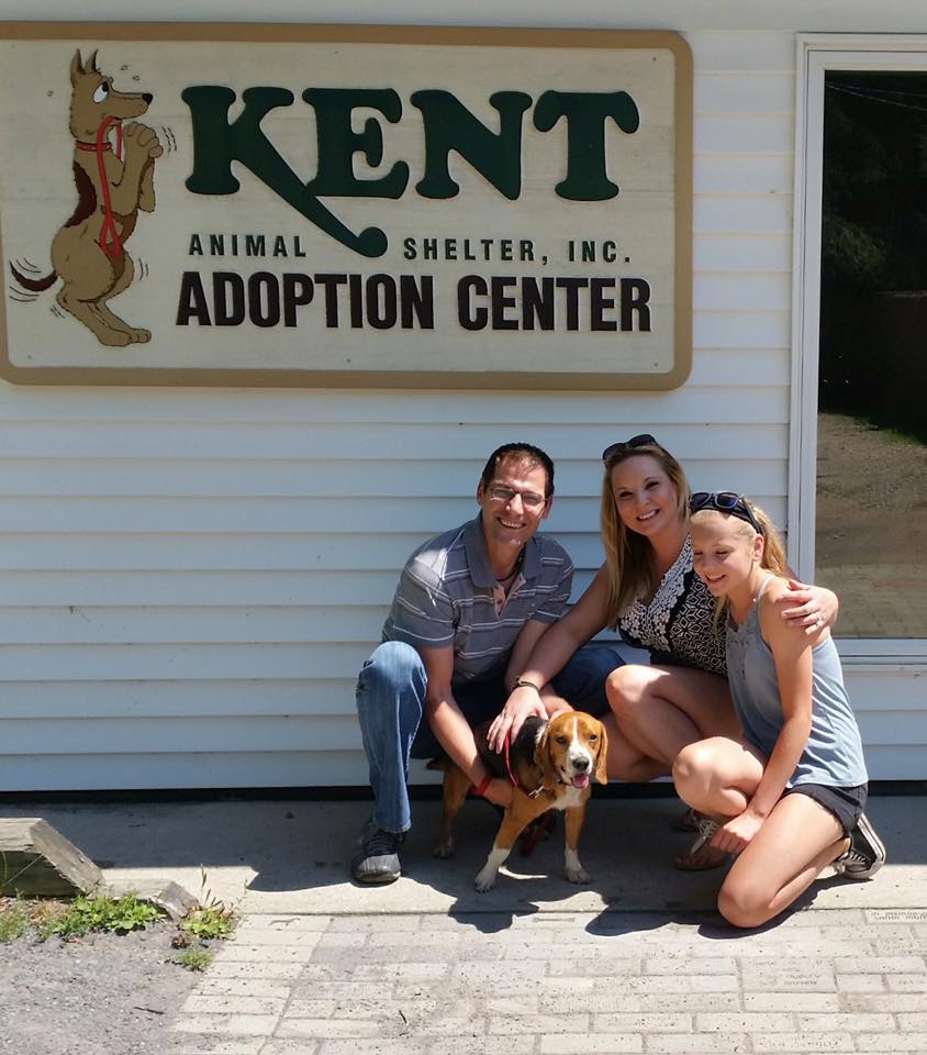 Kent animal shelter