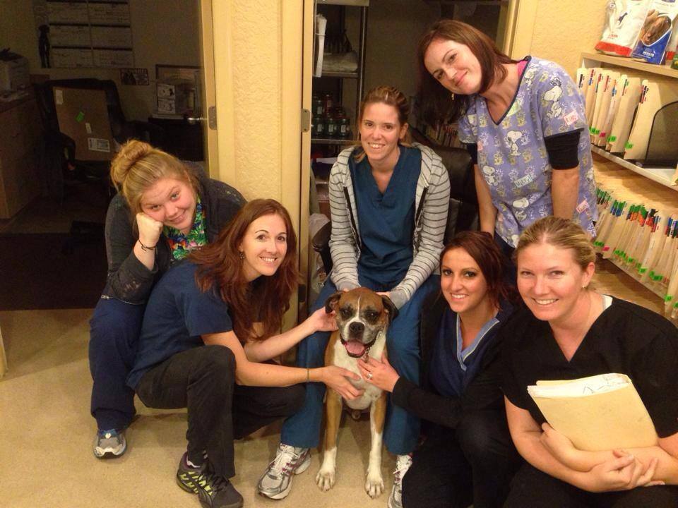 Partridge animal hospital