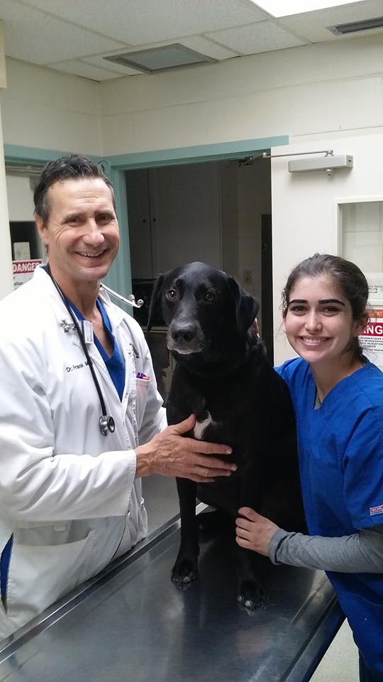 Pasadena veterinary hospital