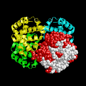 An official website of the united states government Cells Biology Animated Gifs at Best Animations