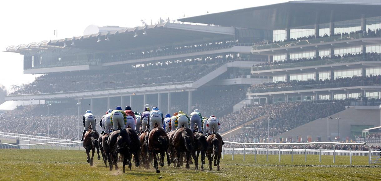 Horse Racing TIps