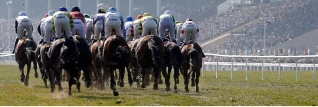 Horse Racing Tips - Best Bets - April 12th