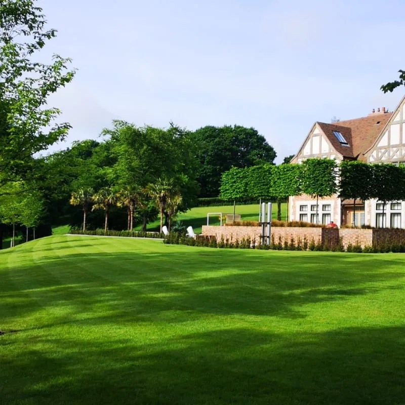 Best Buds Gardening Services Garden Care Kent Bromley Orpington