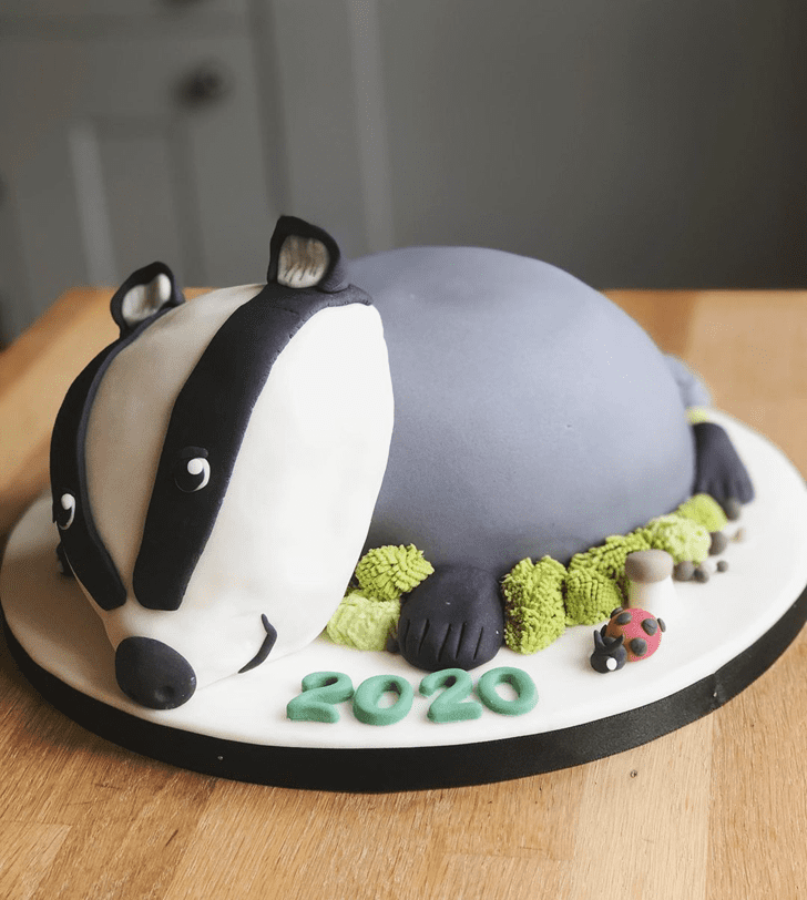 Badger Cake Design Images Badger Birthday Cake Ideas