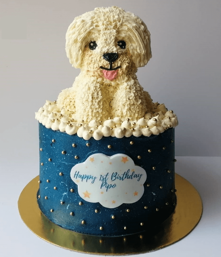 poodle cake design