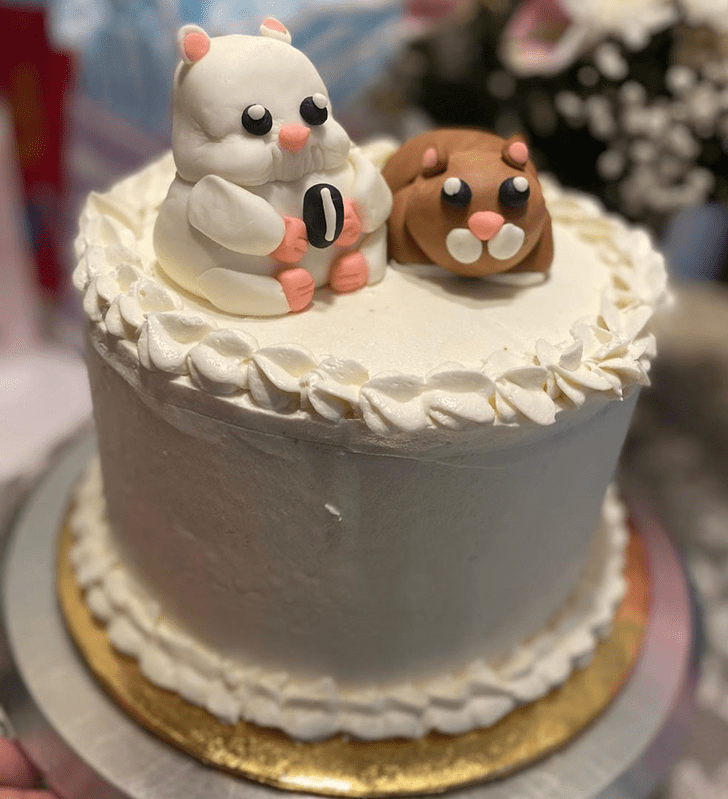 cake hamster