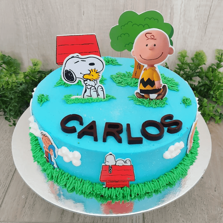 snoopy cake decorations