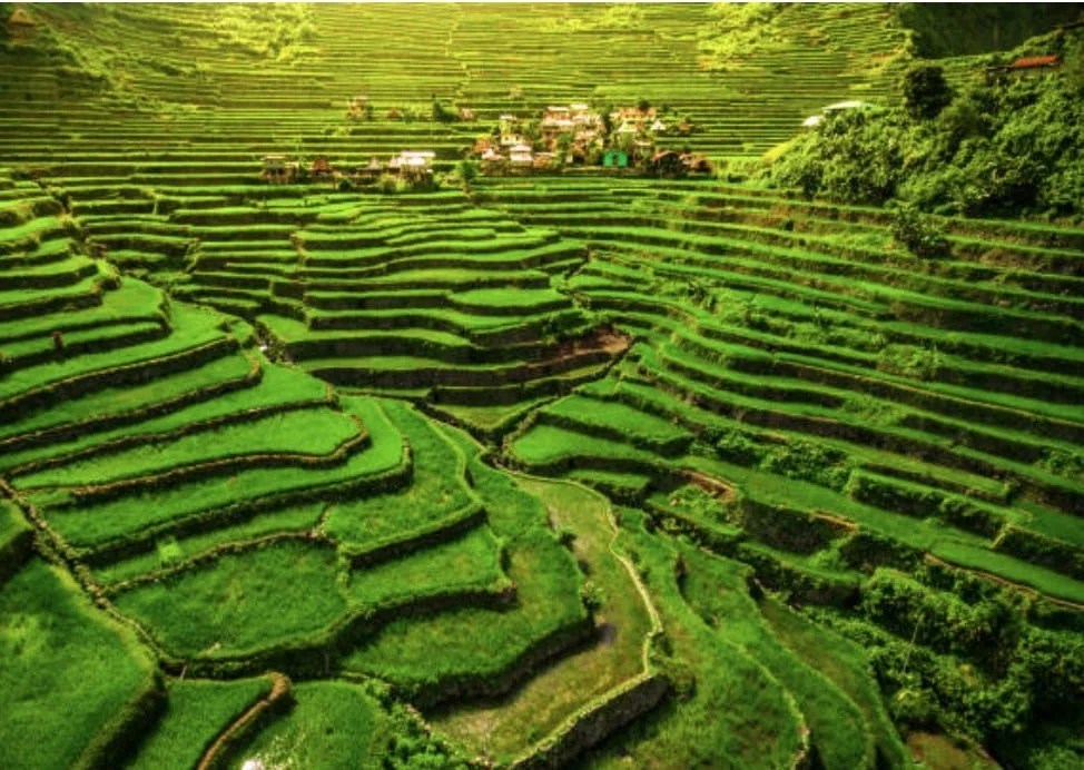 Banaue Rice Terraces A UNESCO World Heritage Site And Must See Rice 