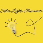 Which Solar Lights Are The Best In India