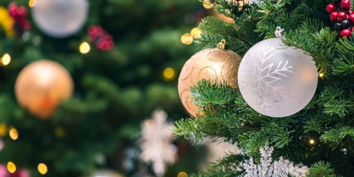 Findlay Tree Lighting Event: A Festive Night of Joy