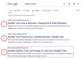 Unlocking Success: Mastering the Art of Finding Keyword Ranking in SEO