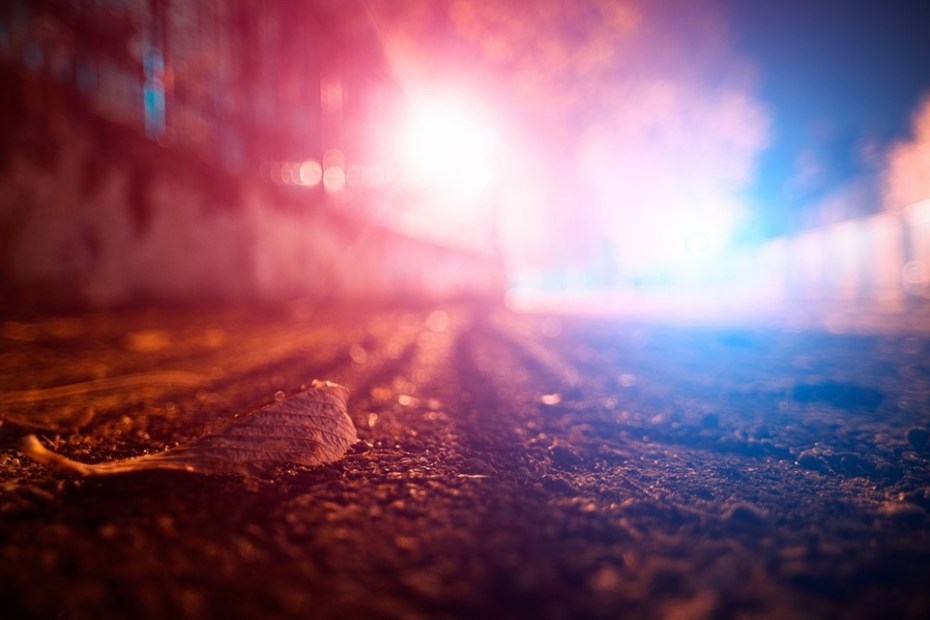 Monroe Hit and Run: A Deep Dive into the Incident