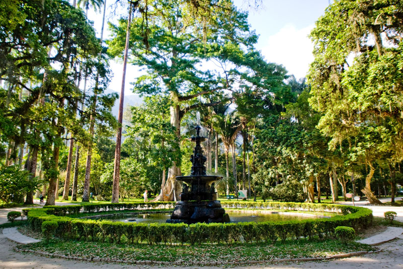 jardim-botanico.jpeg