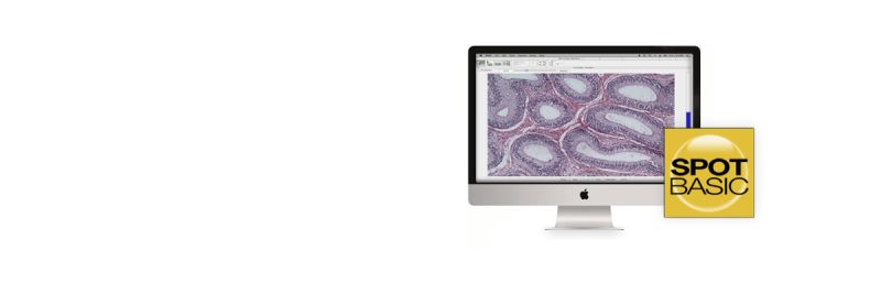 Spot 5 1 Basic Software Installation Instructions Spot Imaging - Best Nature Designs in 4K