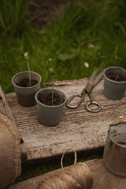 Home Decor Ideas for Garden Lovers
