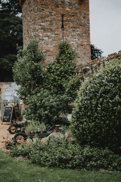 Affiliate Products for Gardening Enthusiasts