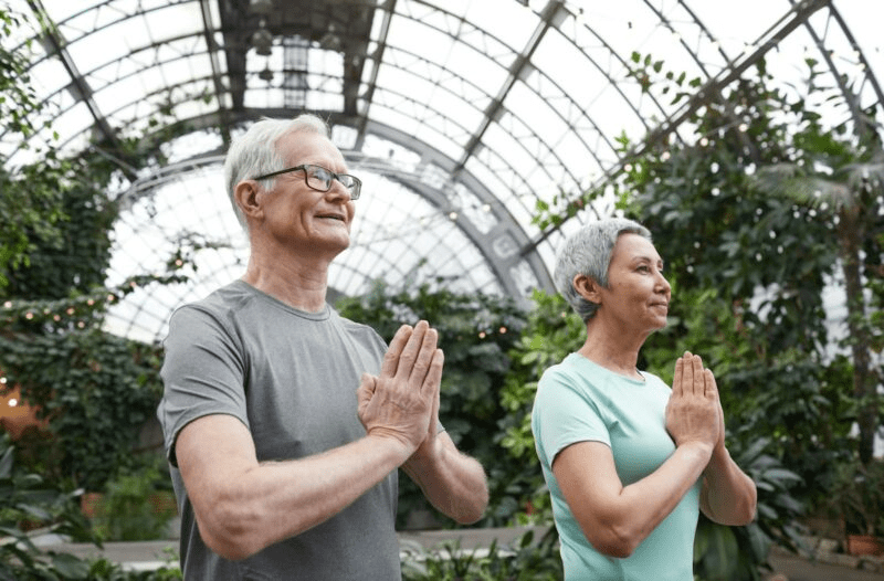 Segmented marketing, targeted marketing. Segment, empty nesters, home sellers. Senior couple enjoying a yoga session indoors, promoting harmony and healthy lifestyle. real estate niche