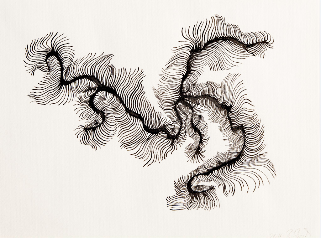 Mindmaps - Serie, 2010/11, Tuschezeichnung, Masse 20×30 cm