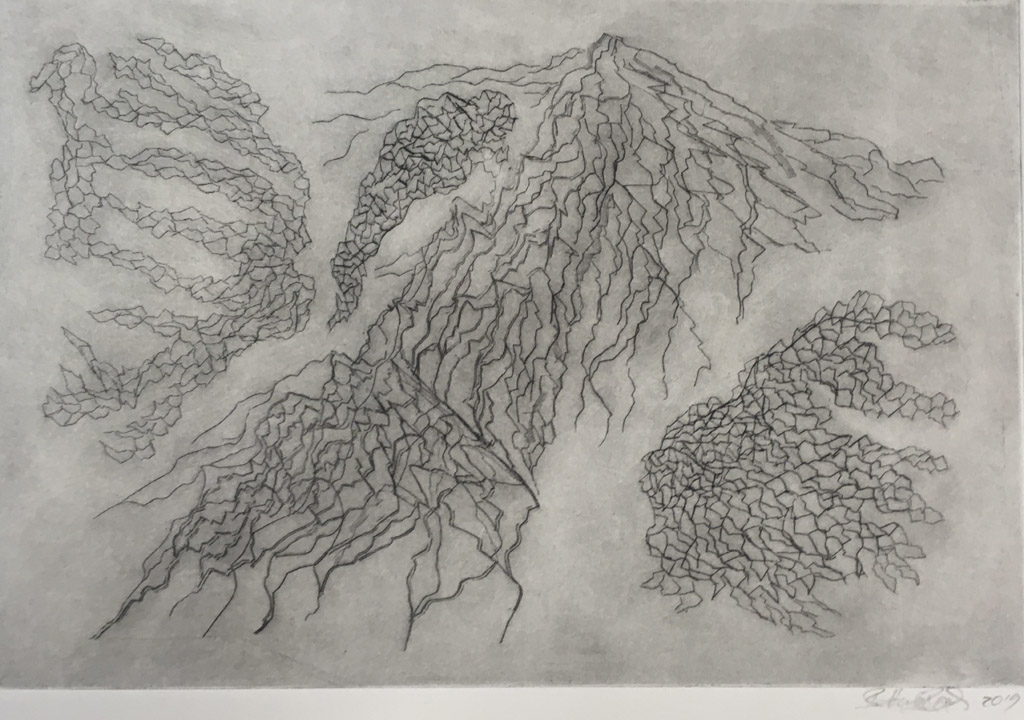 Radierungen: 2019, verschiedene Maße, max.30 x40 cm